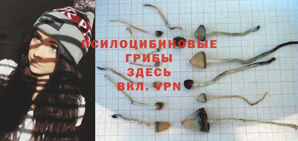 ешки Лабытнанги