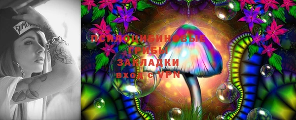 прущая мука Ладушкин