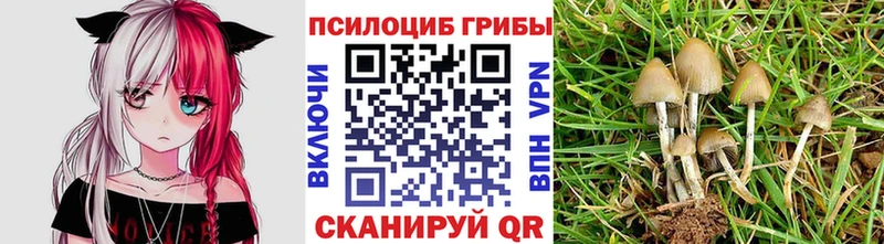 Галлюциногенные грибы прущие грибы  Татарск 