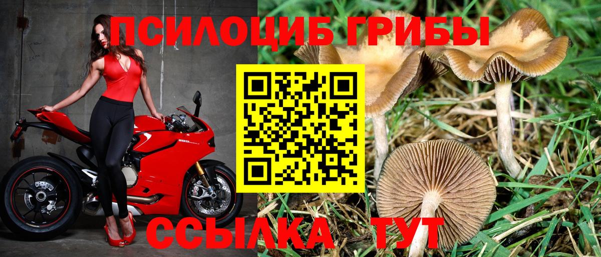 Псилоцибиновые грибы прущие грибы Татарск